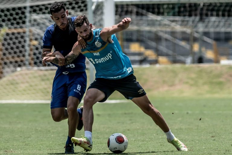 Léo Baptistão fez um dos gols do Santos