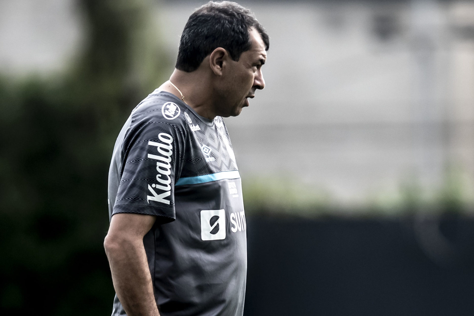 Entenda Dificuldade Do Santos Para Renovar Com Nome Que Agradou Carille ...