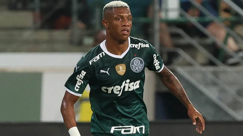 Danilo Palmeiras Santos