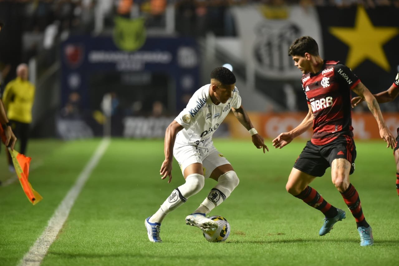 Flamengo x Santos ao vivo: acompanhe o jogo pelo Campeonato Brasileiro