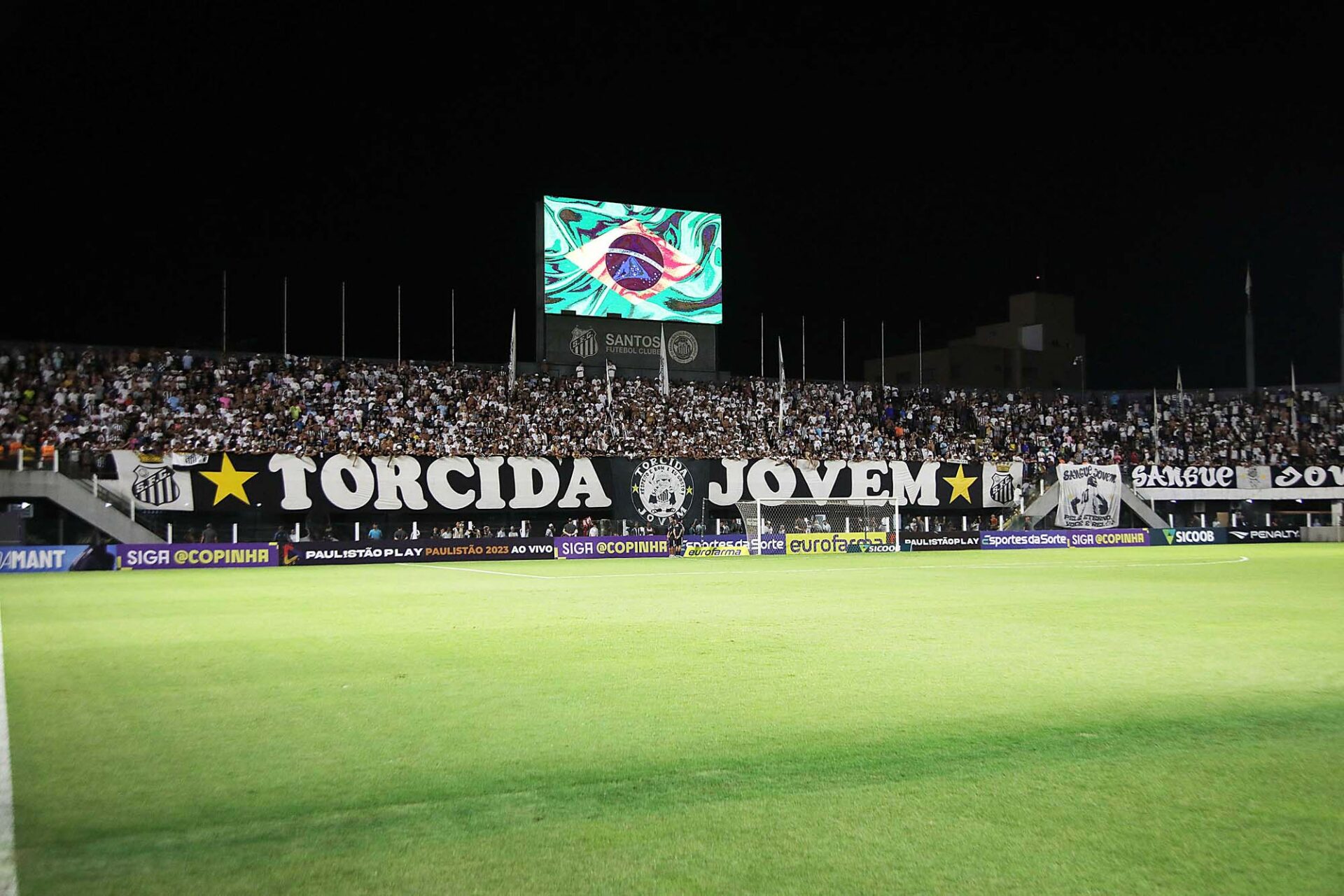 STJD alivia para o Santos, e agora clube poderá jogar com torcida pelo  Brasileirão - Esporte Paulista