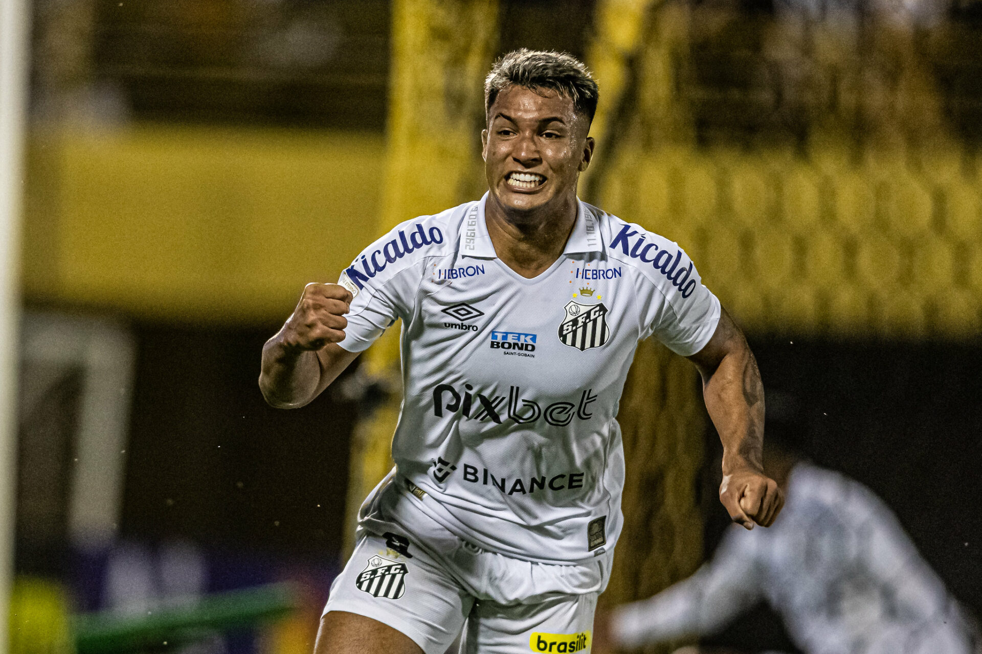 Santos FC on X: SANTOS! ⚪️⚫️  / X