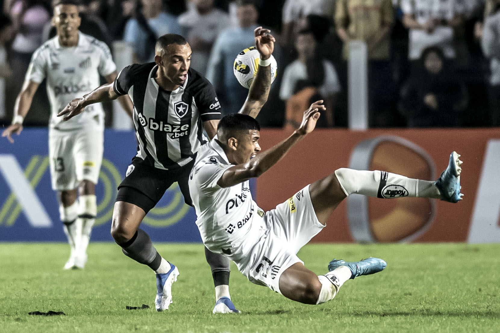 Santos x Botafogo onde assistir, que horas é, prováveis escalações e arbitragem Santistas