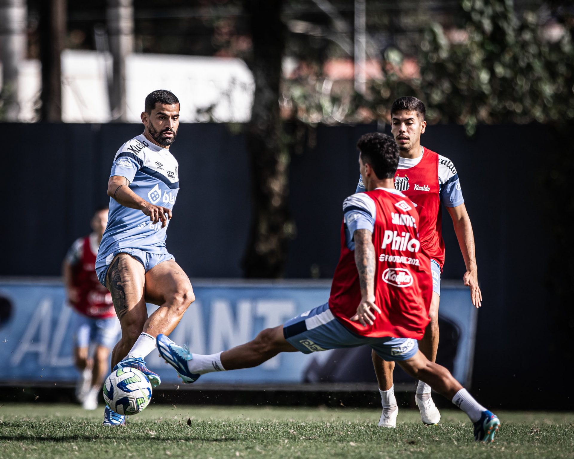 Santos tem 9 desfalques para jogo decisivo contra o Goiás, pelo Brasileirão