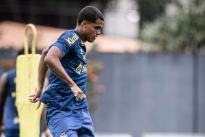 Enzo Monteiro Santos