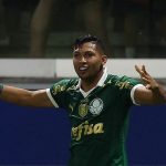 Rony palmeiras Santos