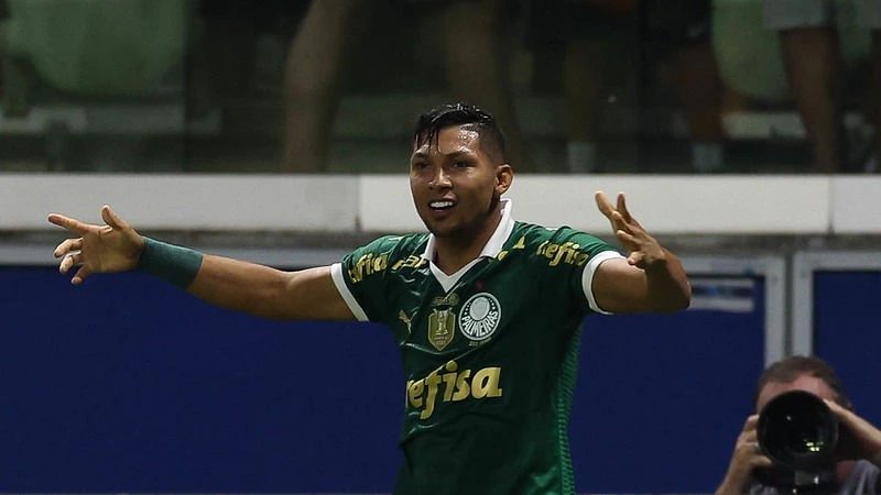 Rony palmeiras Santos