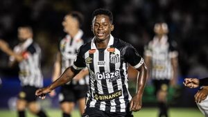 Foto: Raul Baretta/Santos FC