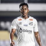 Foto: Raul Baretta/Santos FC