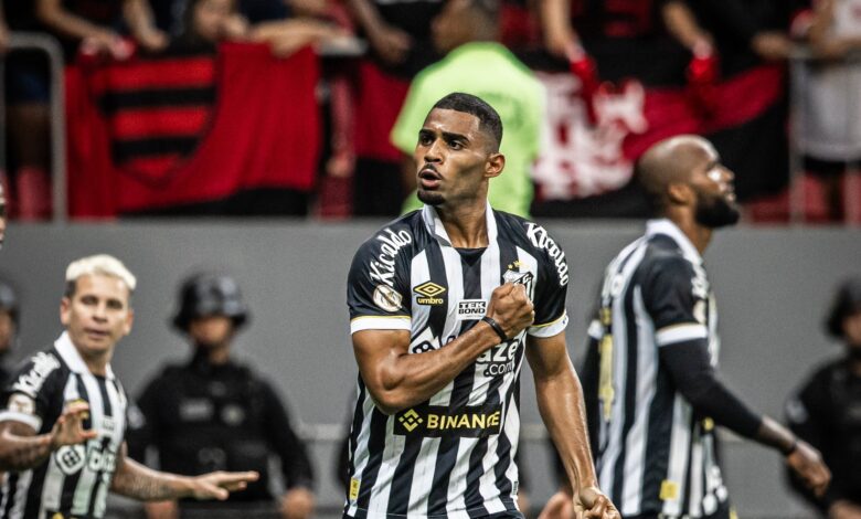 Foto: Raul Baretta / Santos FC