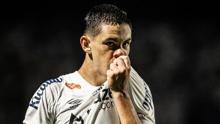 Foto: Raul Baretta/Santos FC