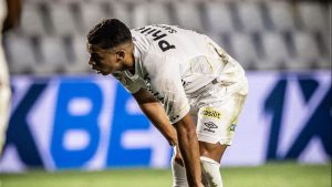 Foto: Raul Baretta/Santos FC
