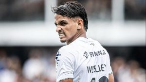 Foto: Raul Baretta/Santos FC