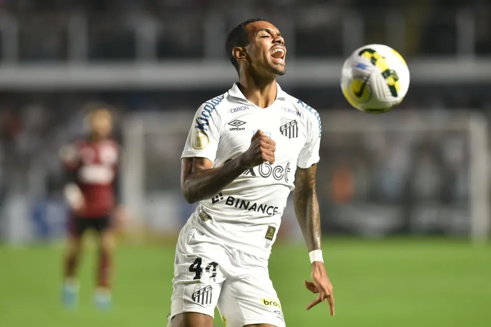 Foto: Ivan Storti/Santos FC