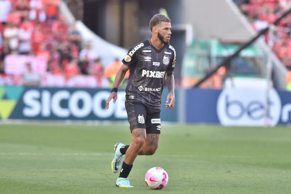 Foto: Ivan Storti / Santos FC