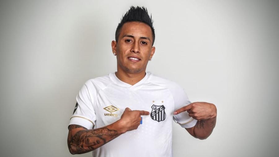 Foto: Rodrigo Coca/Santos FC