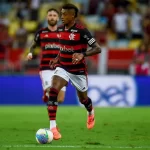 Foto: Gilvan de Souza/Flamengo