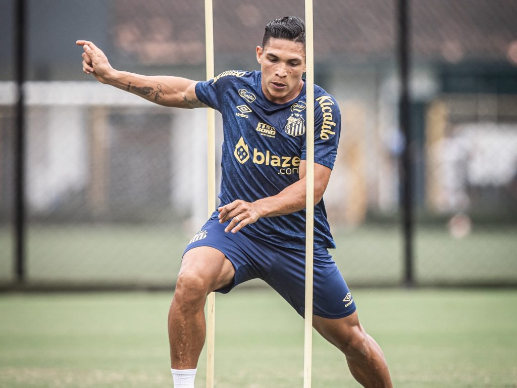 Foto: Raul Baretta/Santos