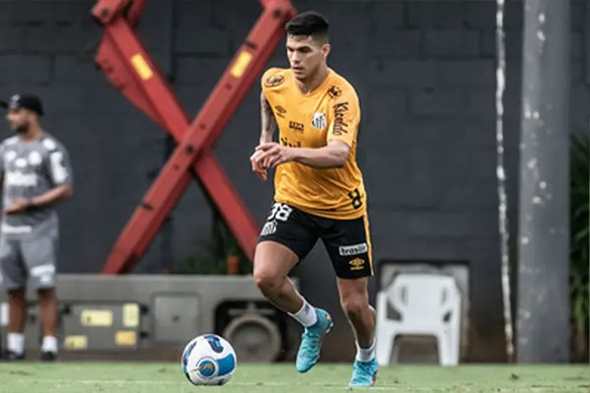 Foto: Ivan Storti/Santos