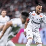 Foto: Raul Baretta/ Santos FC