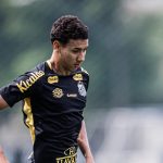 Gabriel Bontempo no Santos - Foto: Raul Baretta