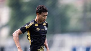 Gabriel Bontempo no Santos - Foto: Raul Baretta