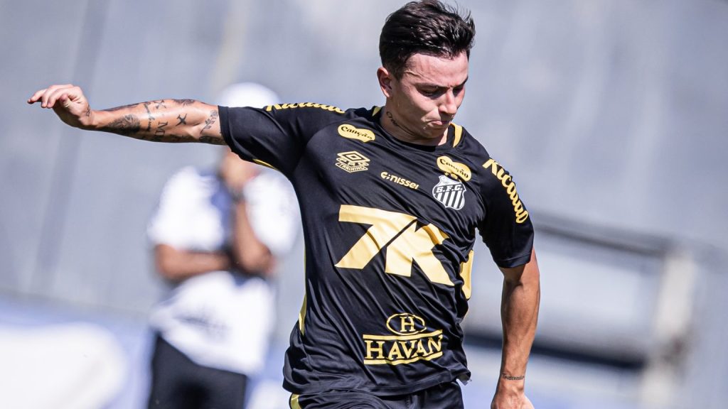 Barreal no Santos