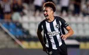 Adryelson alvo do Santos - Foto: Botafogo