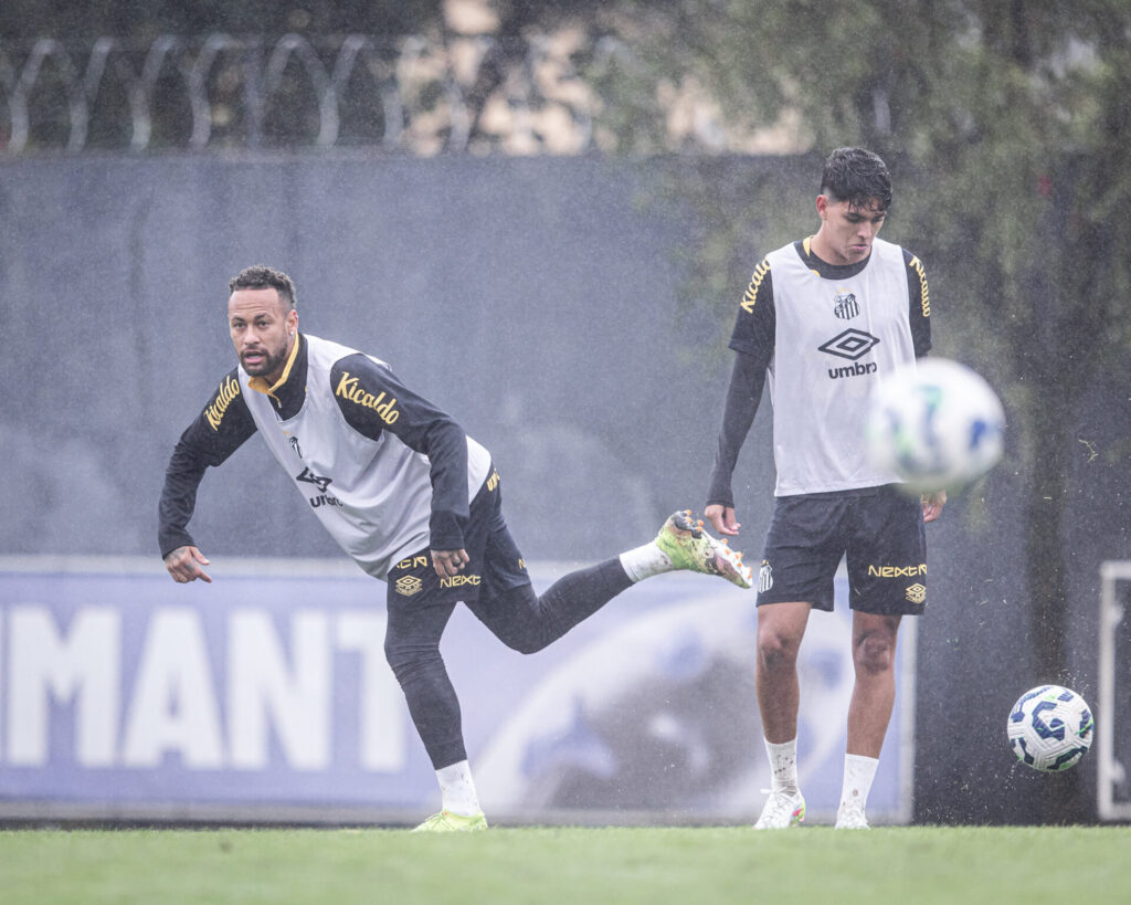 Foto: Raul Baretta/ Santos FC
