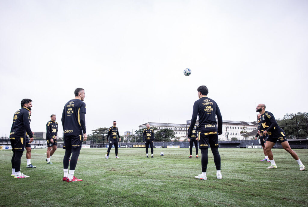 Foto: Raul Baretta/ Santos FC