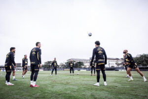 Foto: Raul Baretta/ Santos FC