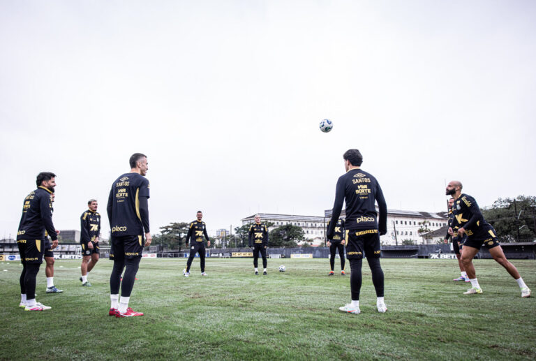 Foto: Raul Baretta/ Santos FC