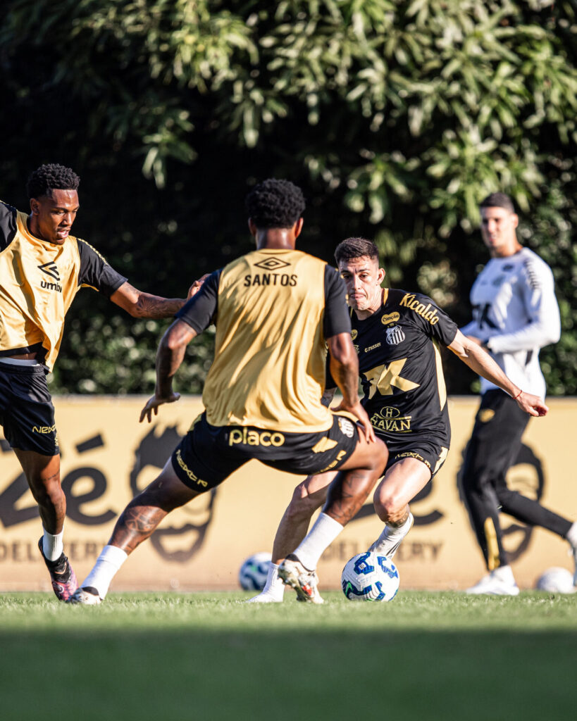 Foto: Raul Baretta/ Santos FC