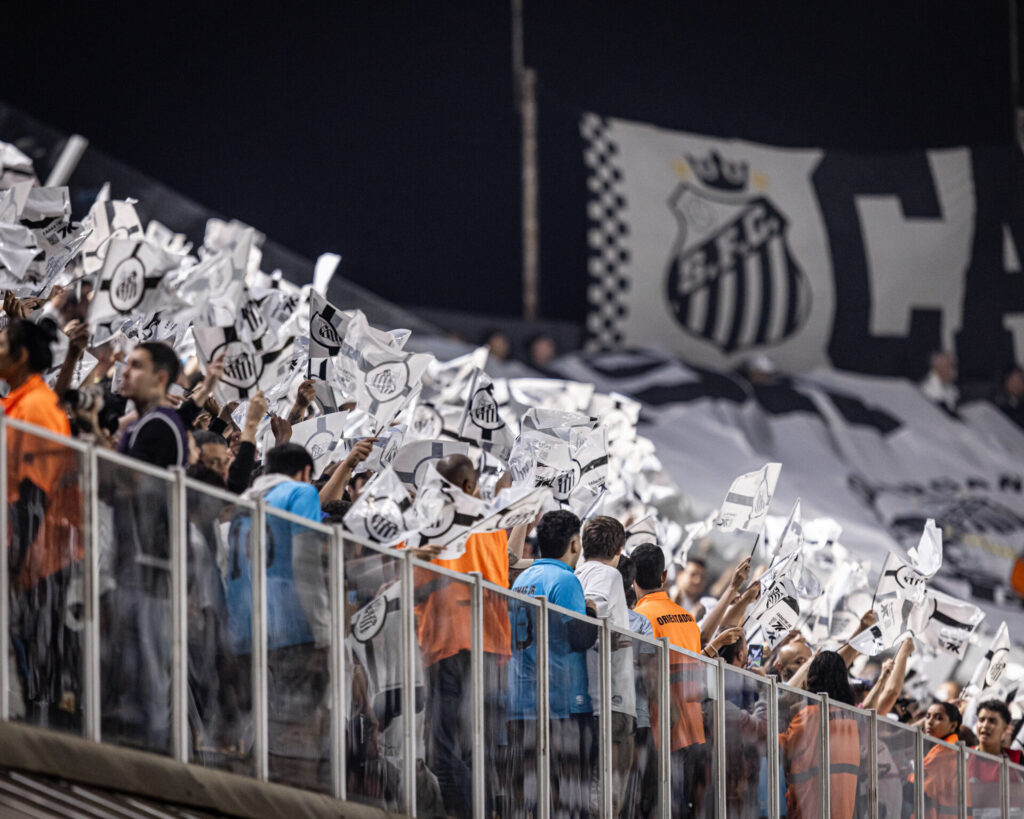 Foto: Raul Baretta/ Santos FC