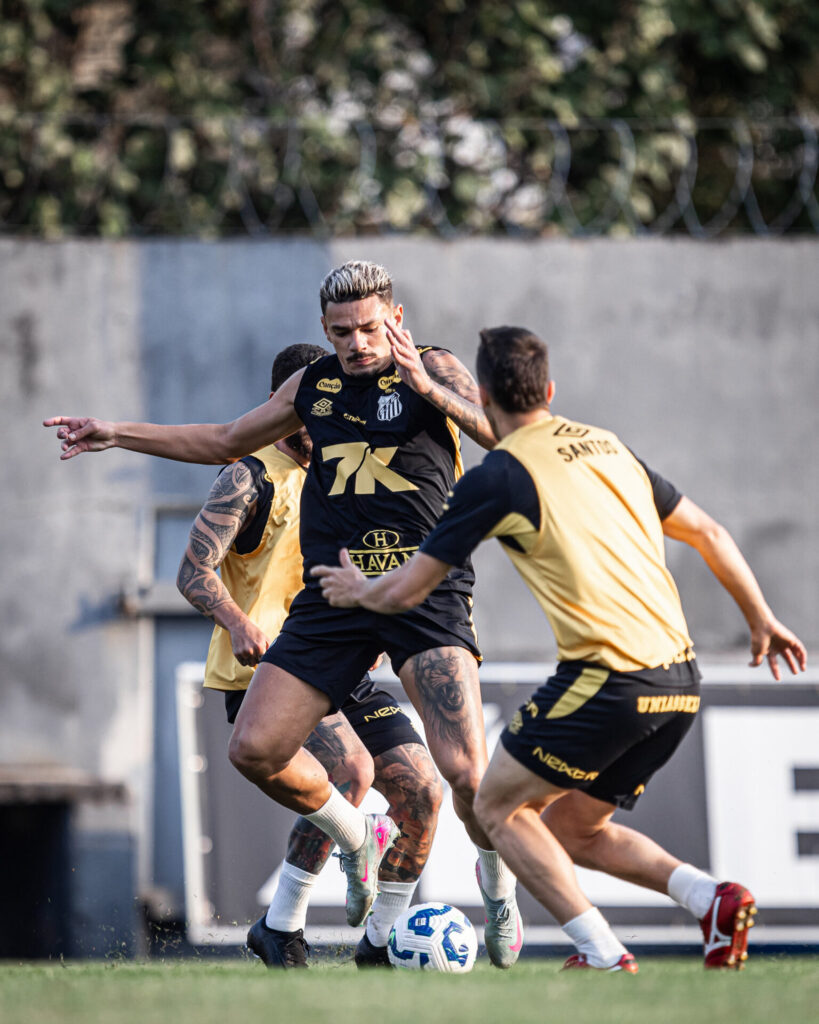 Foto: Raul Baretta/Santos