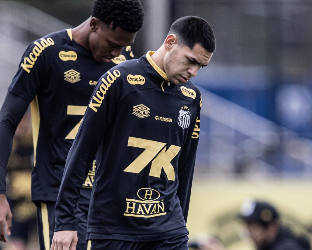 Foto: Raul Baretta/Santos FC