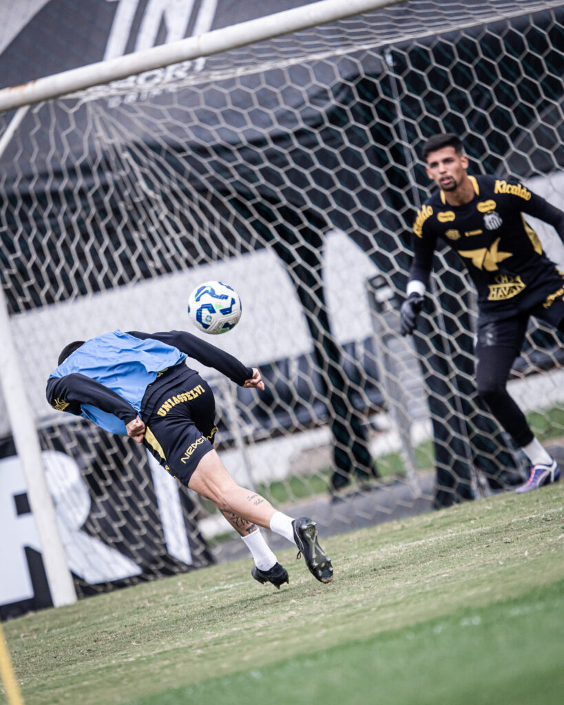 Foto: Raul Baretta/ Santos FC
