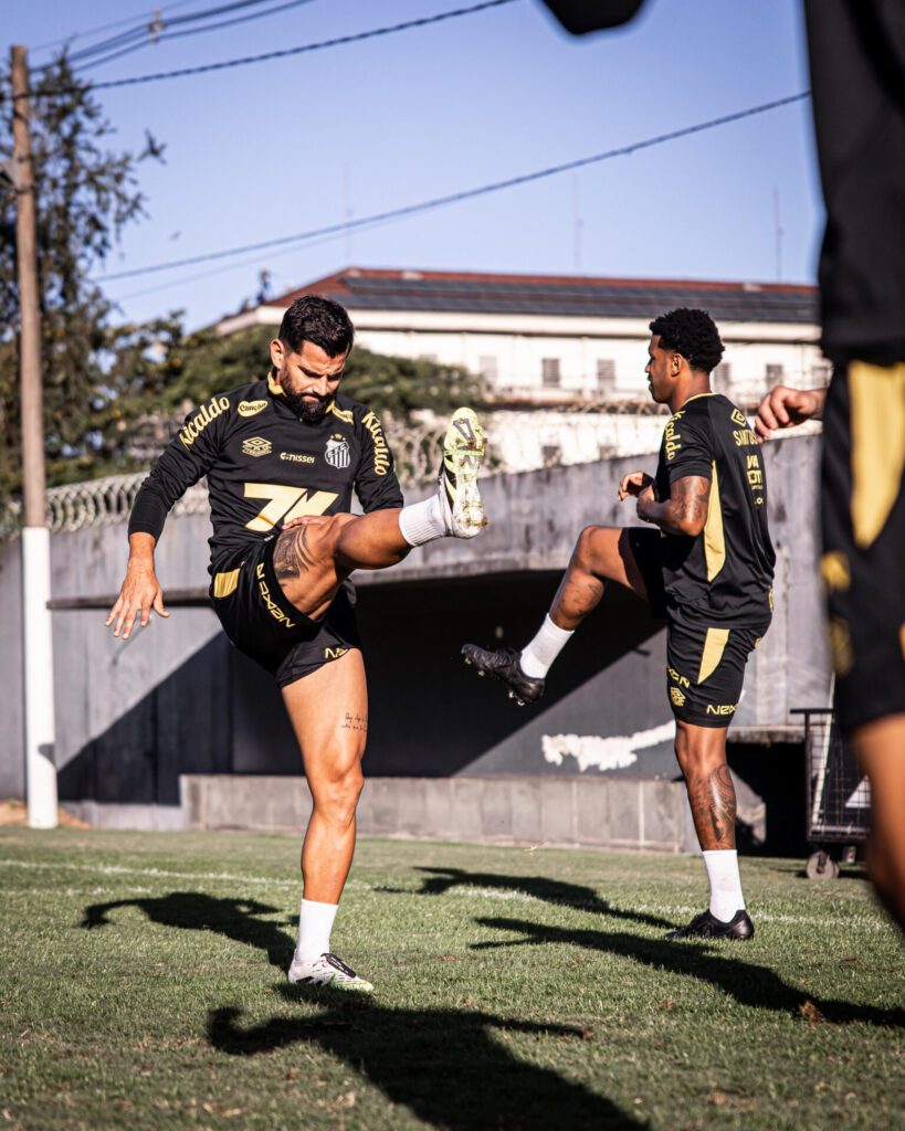 Foto: Raul Baretta/Santos