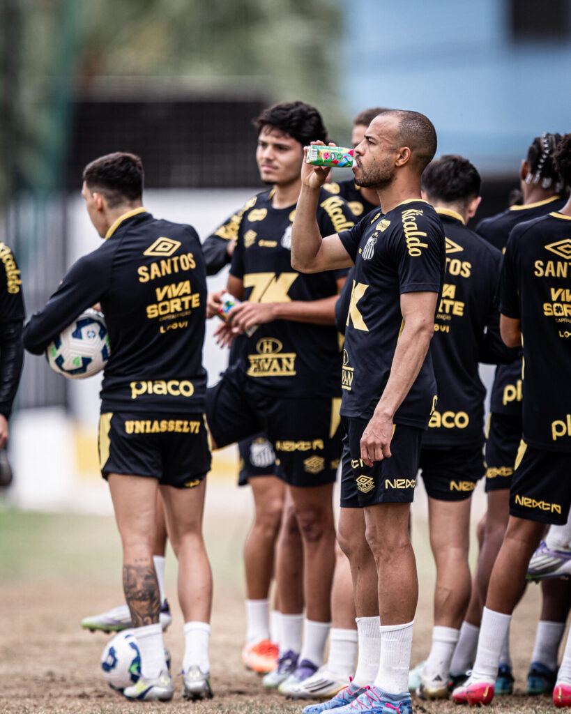 Foto: Raul Baretta/Santos