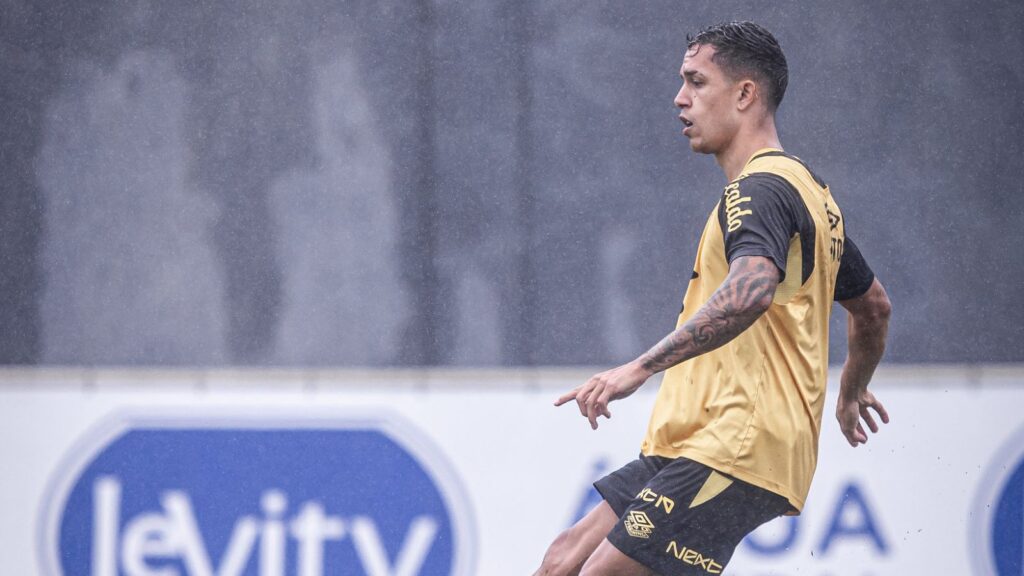 Foto: Raul Baretta/ Santos FC