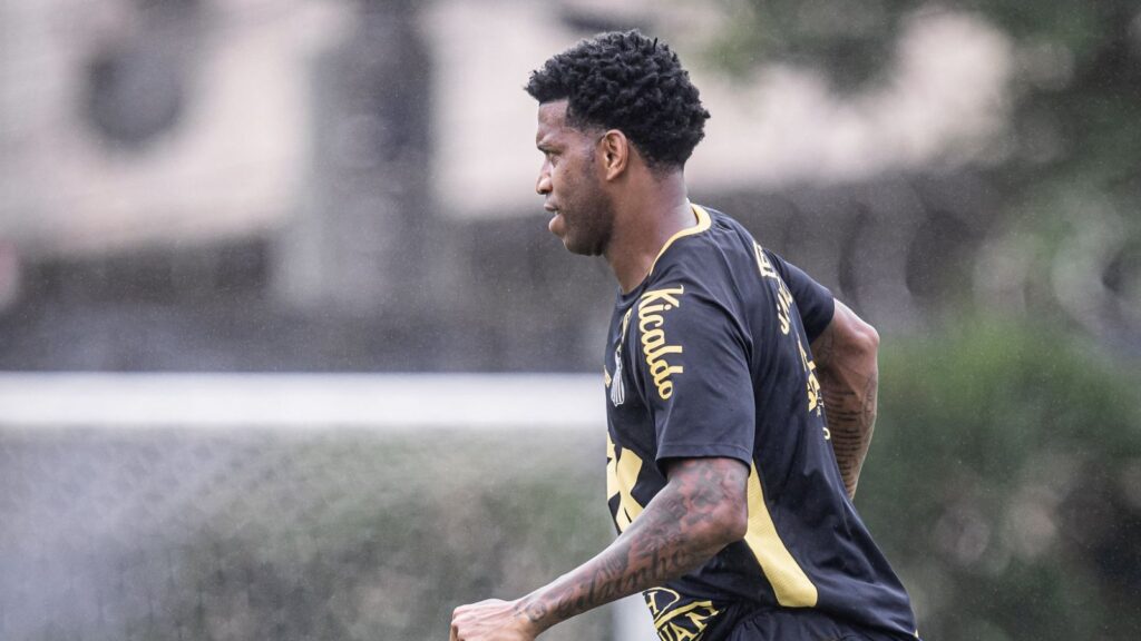 Foto: Raul Baretta/ Santos FC