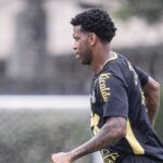 Foto: Raul Baretta/ Santos FC