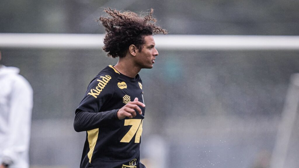 Foto: Raul Baretta/ Santos FC