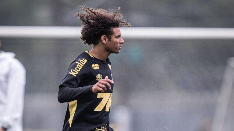 Foto: Raul Baretta/ Santos FC