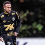 Foto: Raul Baretta/ Santos FC