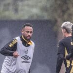 Foto: Raul Baretta/ Santos FC