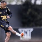 Foto: Raul Baretta/ Santos FC