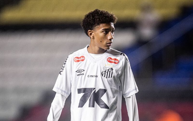 Foto: Raul Baretta / Santos FC