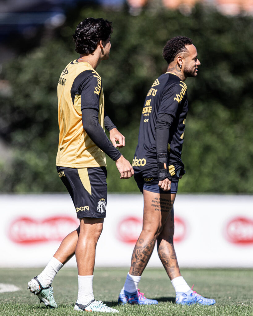 Foto: Raul Baretta/Santos