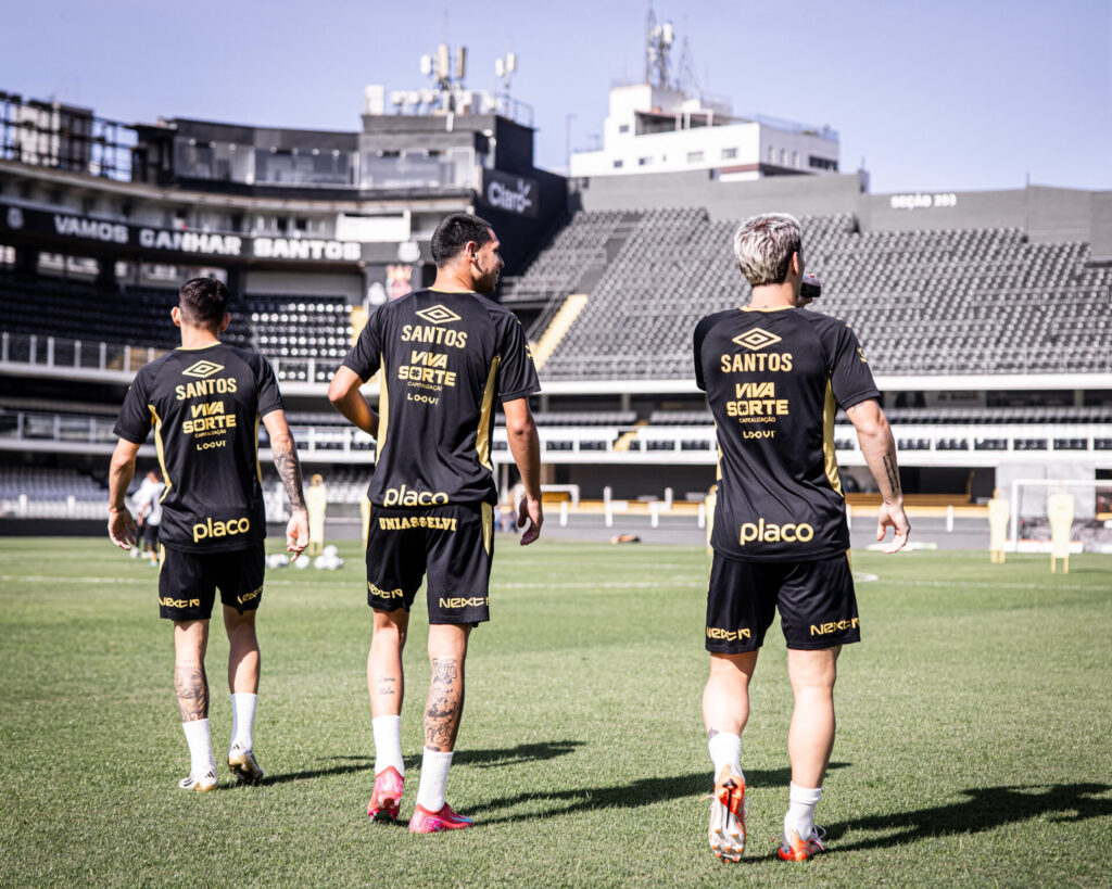 Foto: Raul Baretta/Santos FC